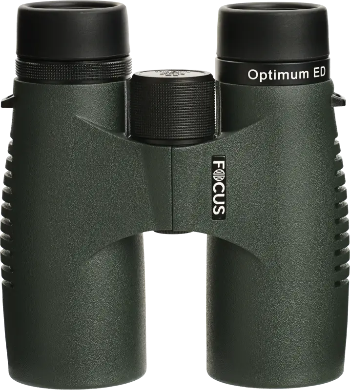 Focus Optimum 8x42 kikare – idealisk för natur, fågelskådning & friluftsliv. Utforska naturen med Focus kikare.